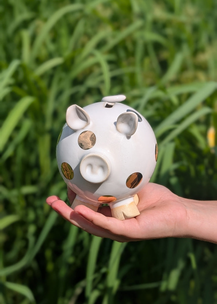 Breakable piggy bank