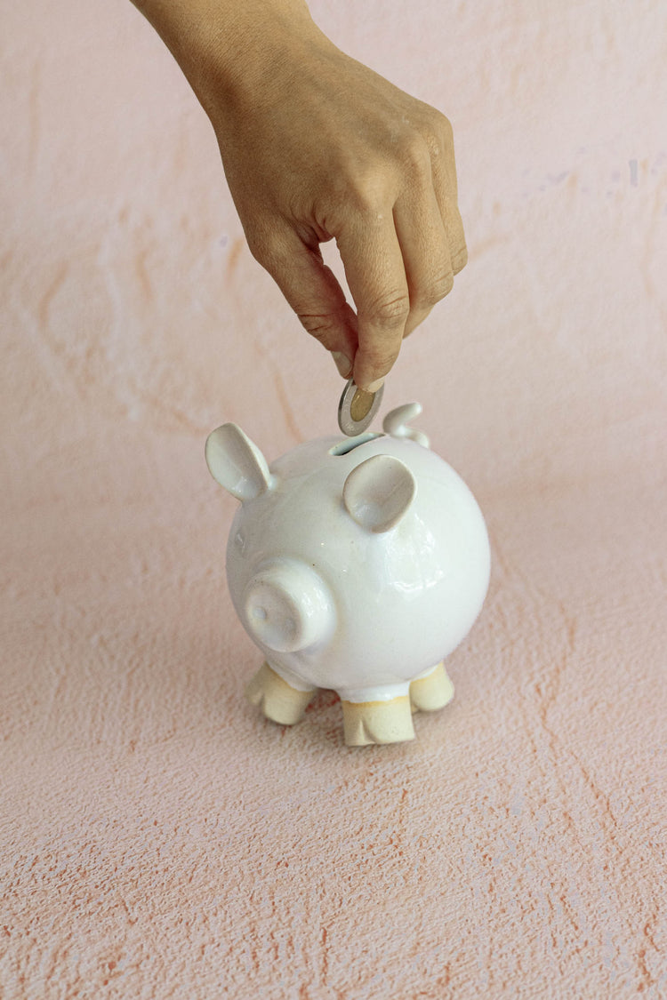 Breakable piggy bank - preorder