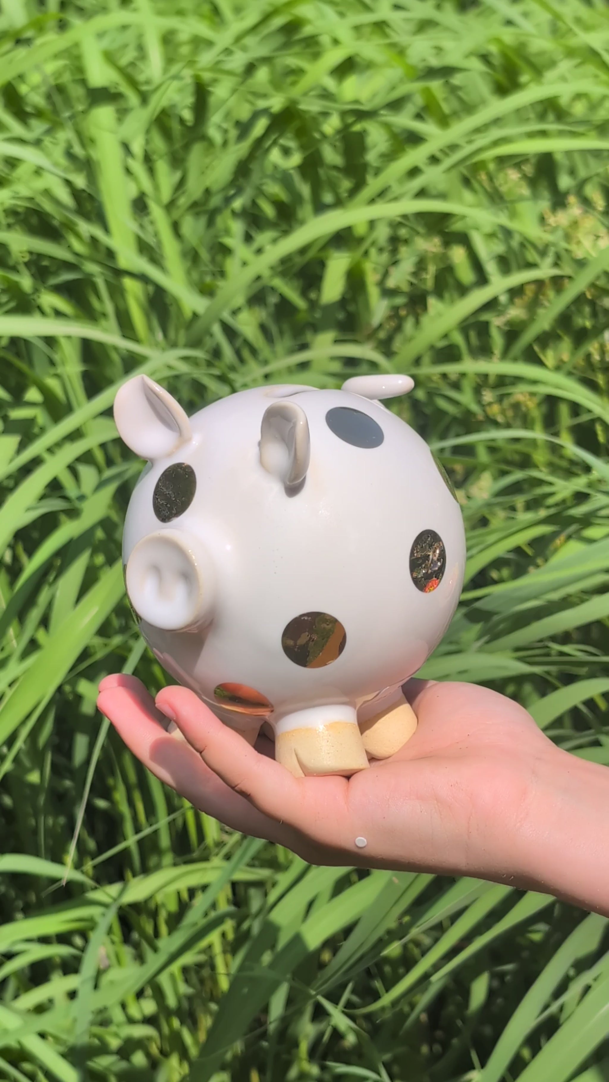 piggy bank